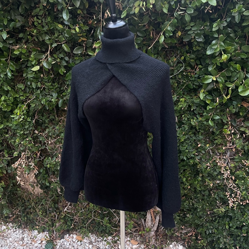 Cozy knit sweater crop turtleneck